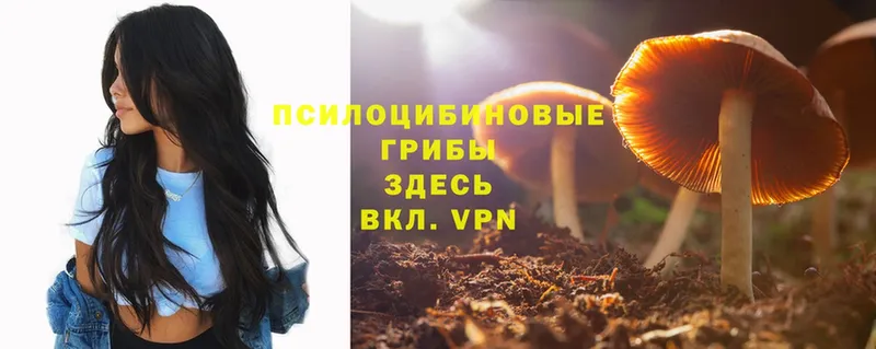 Галлюциногенные грибы Magic Shrooms  Полевской 